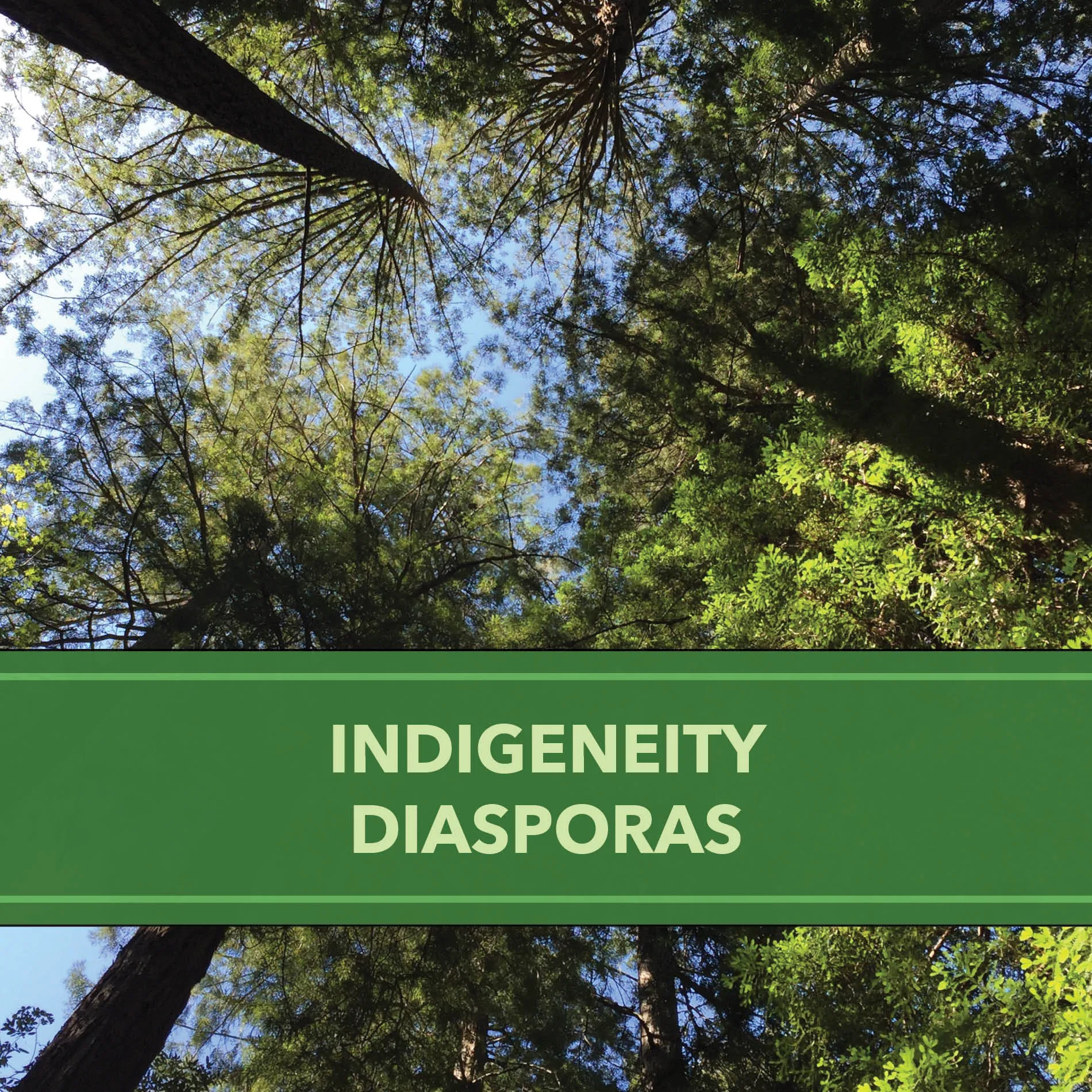INDIGENEITIES
