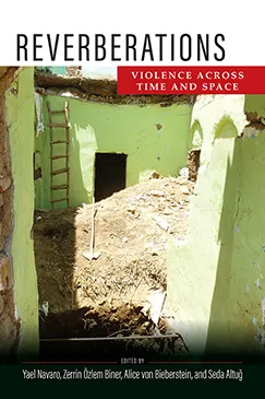 Books Cover: Reverberations: Violence Across Time and Space, 