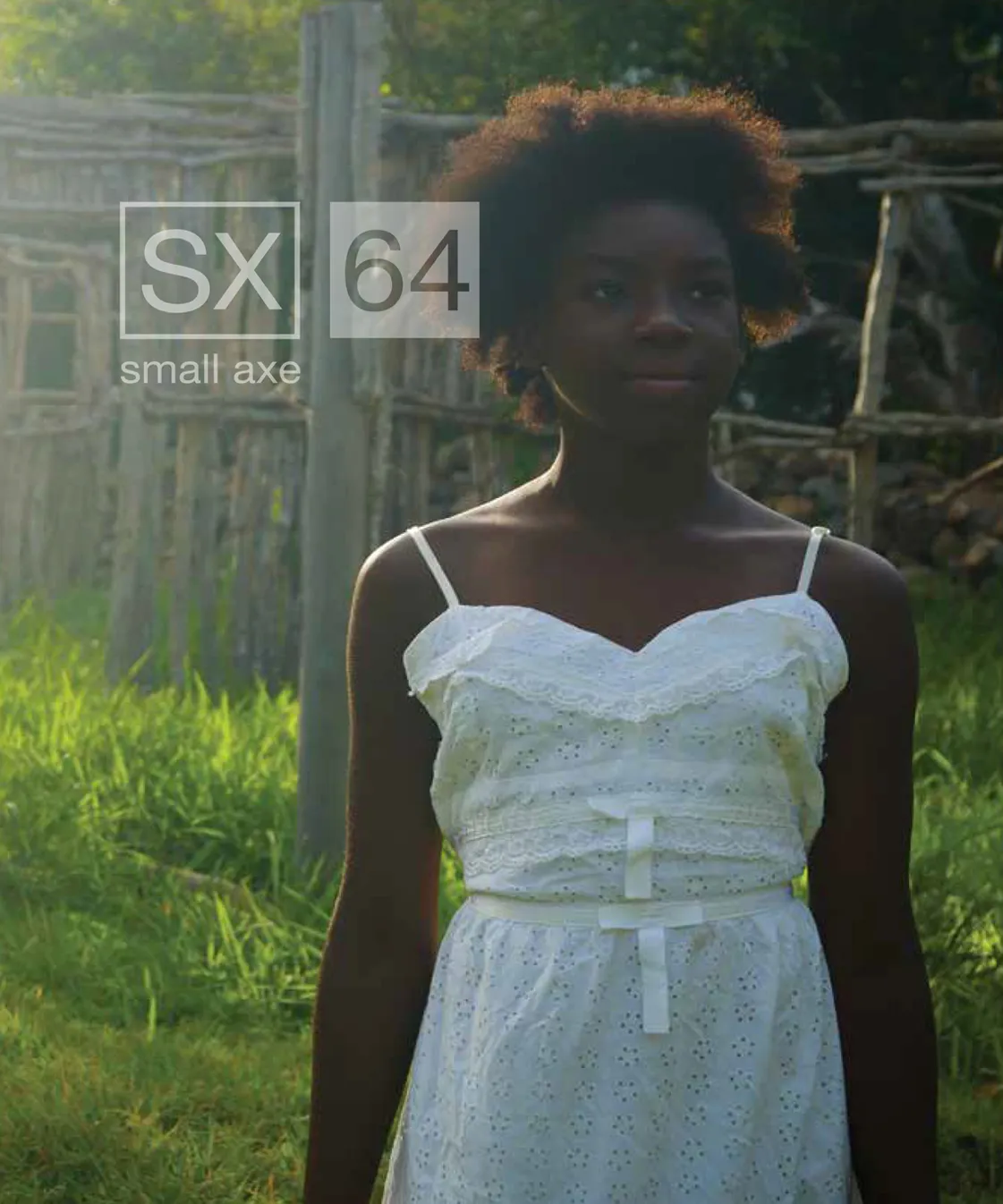 Small Axe Cover: 64
