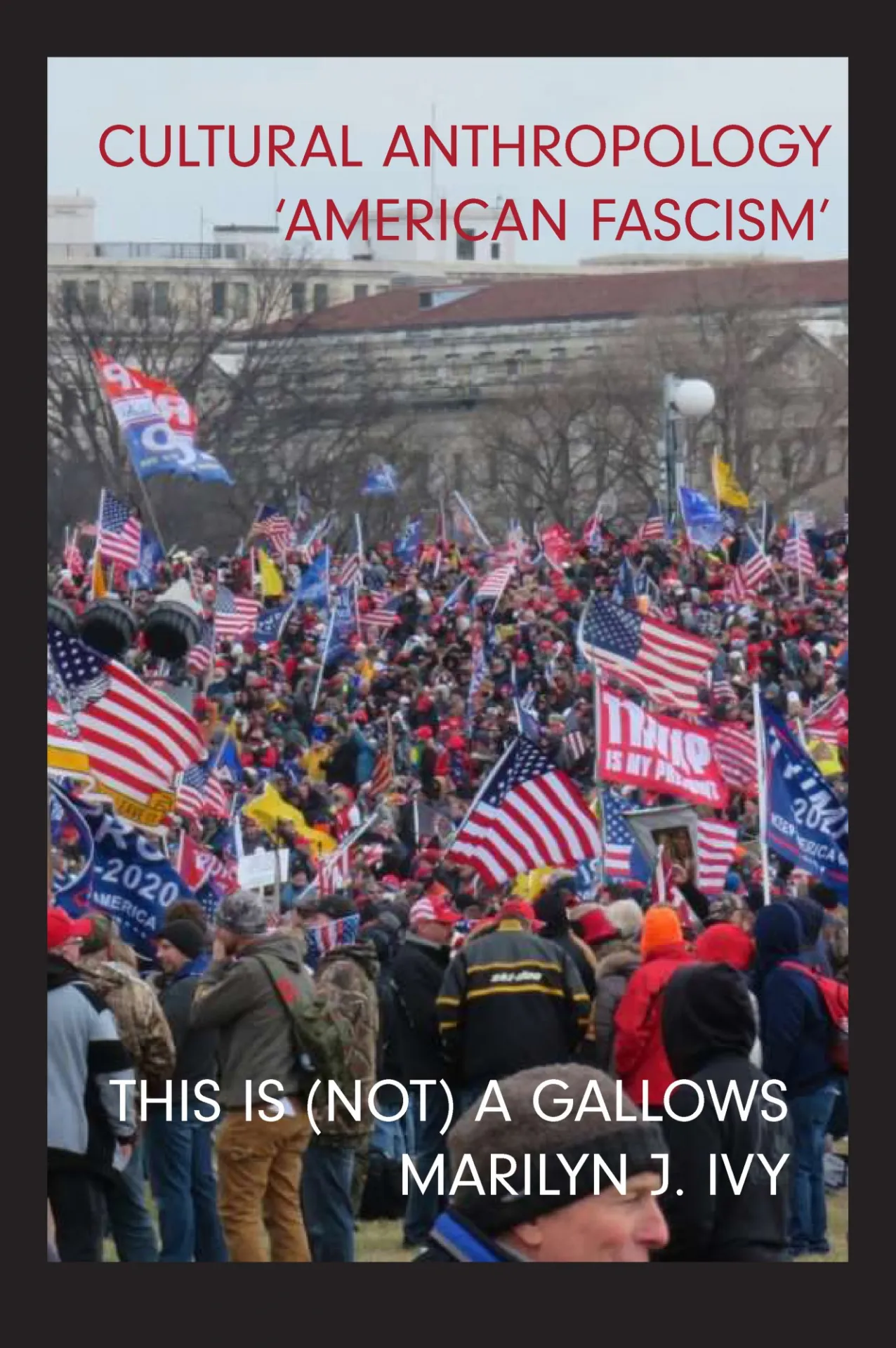 Journal Cover; Cultural Anthropology 'American Fascism'