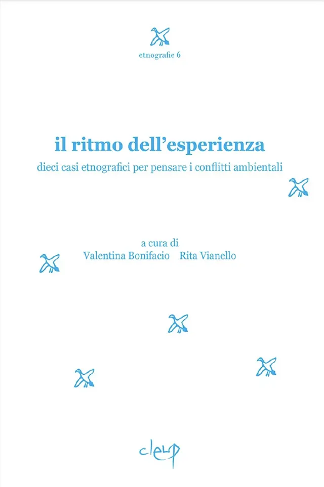 Visioni di polvere cover