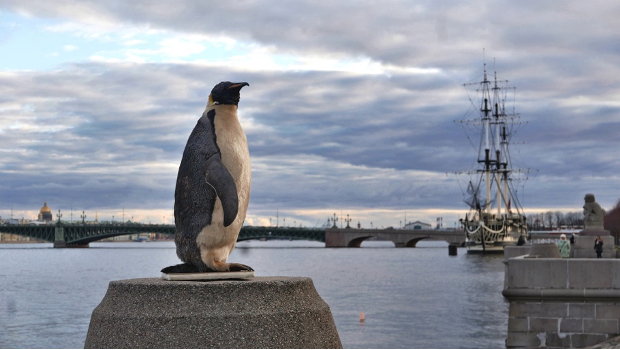A gleaned, bartered, stolen, gifted, glorified penguin from Leningrad.