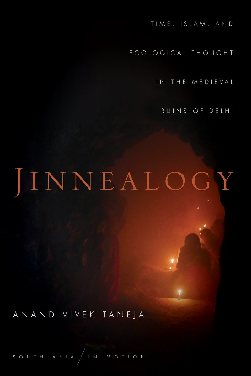Book Cover: Anand Vivek Taneja, Jinnealogy: Time, Islam, and Ecological Thought in the Medieval Ruins of Delhi