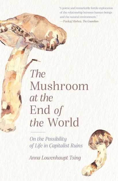 Book Cover: Anna Tsing, Mushroom at the End of the World