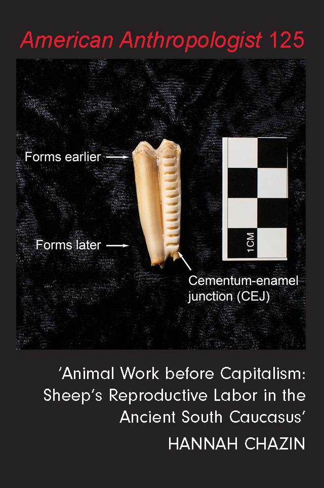 Text card: Chazin, Hannah. Animal Work before Capitalism: Sheep’s Reproductive Labor in the Ancient South Caucasus.' 