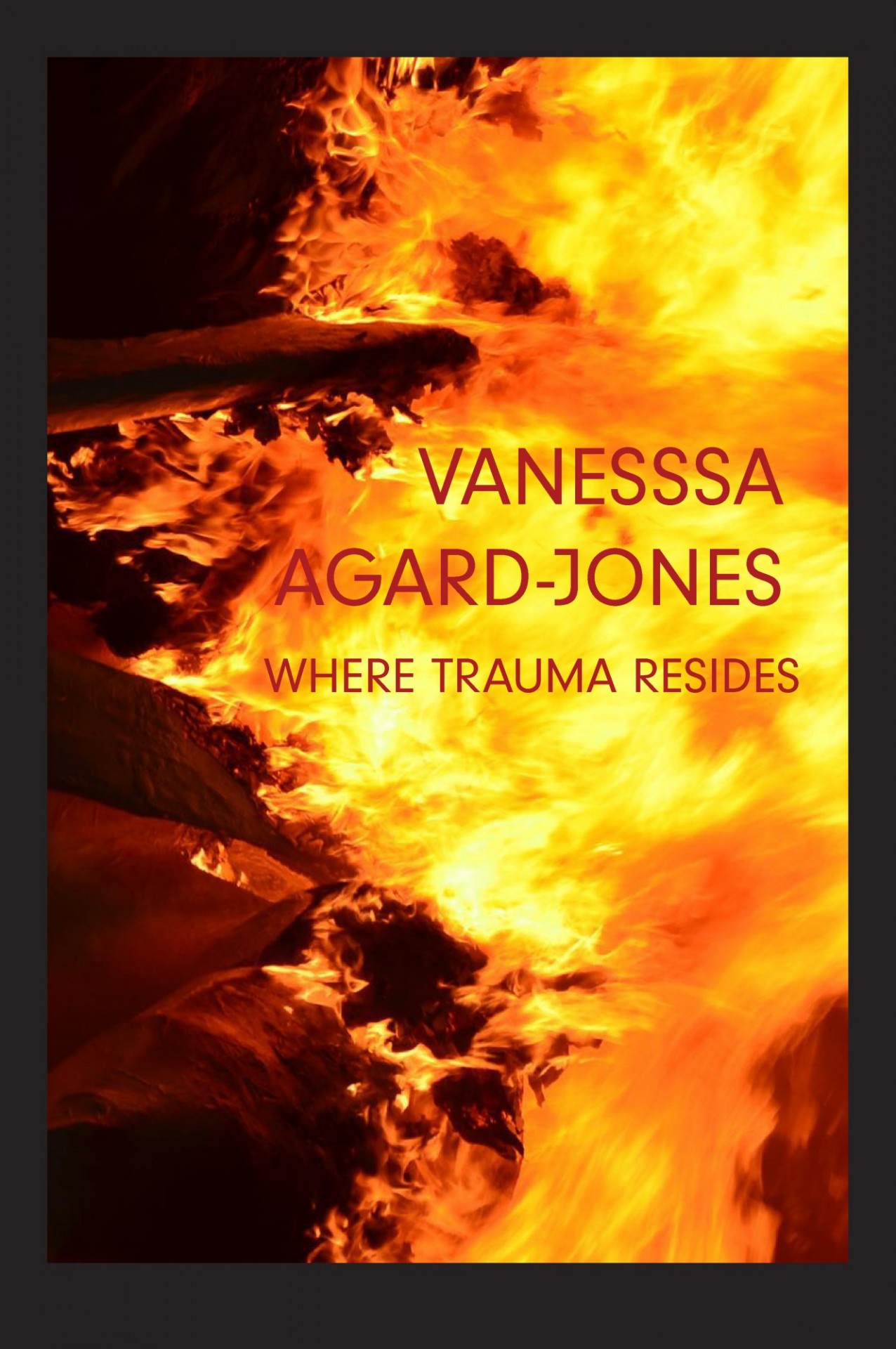 Vanessa Agard-Jones, 'Where Trauma Resides'