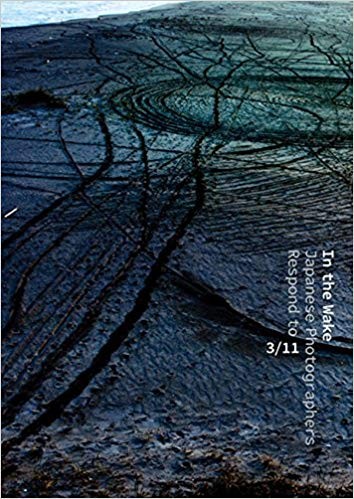 Book Cover: In the wake: Japanese Photographers Respond to 3/11